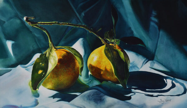 Cecile's Satsumas by Tracy Hebert