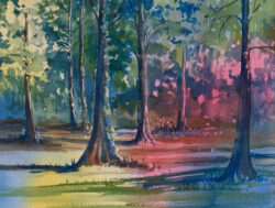 Cypress Grove by Roberta Loflin