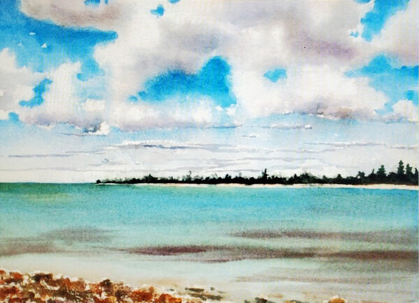 Roberta Loflin Waterscapes Vieques