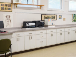 Left Wall Lockers, Counter, and Cabinets