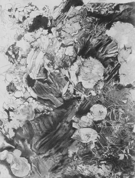 Study For Reclamation by Larry Downs
