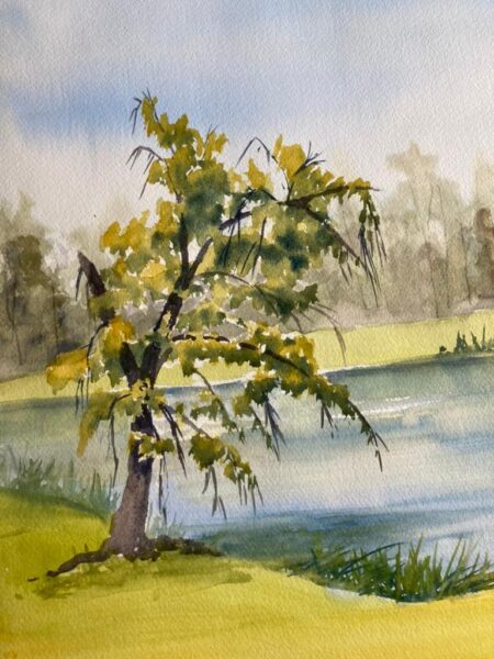 Trees In The Landscape by Roberta Loflin