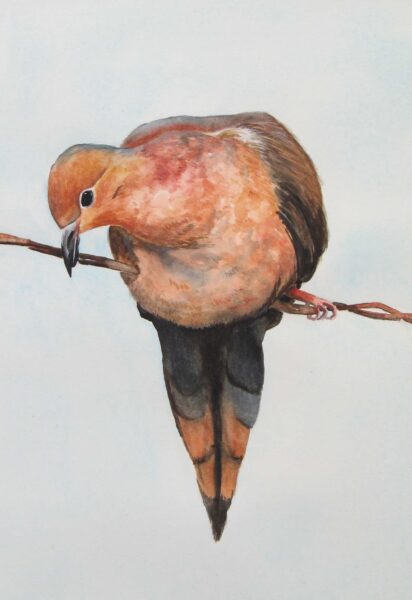 Roberta Loflin Bird 2