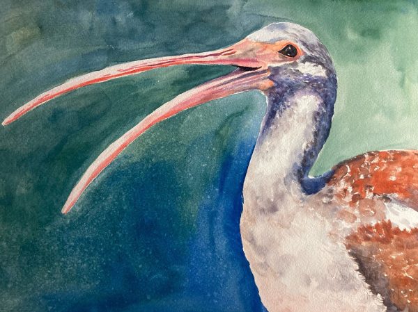 feathered friend by Roberta Loflin