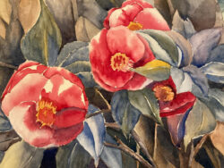Flowers by Roberta Loflin