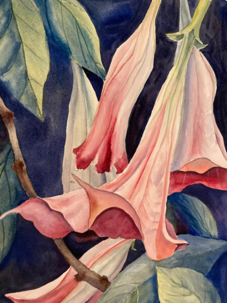 Flowers by Roberta Loflin