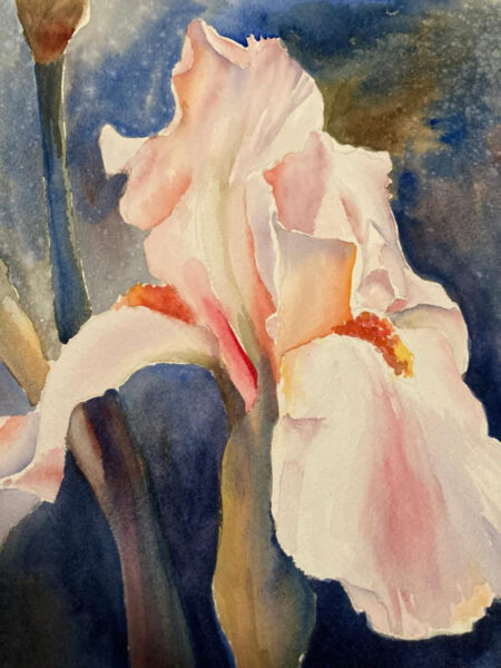 Flowers by Roberta Loflin
