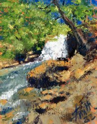 Falls at Tanyard Creek 1