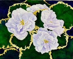 African Violet