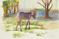 Betty Klenke