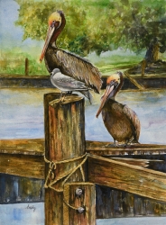 Lafitte Pelicans