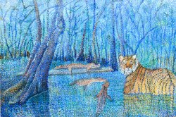 Bengal in the Bayou