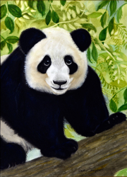 Smiley Panda