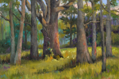 Kathy Daigle