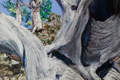 Larry Downs