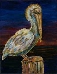 Night Time Pelican