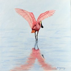 Spoonbill Stretch