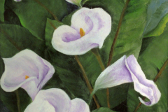 Pat Elam