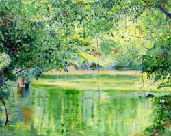 2a.   2020 Flood, West Feliciana