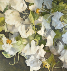 83a.   A Bee's Eye View