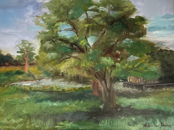 48a.   A Day in the Country