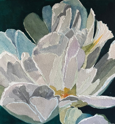 82a.   Afton Villa Bloom