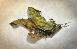 79a.   All the Leaves Are Brown