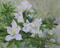 33a.   Angels in the Azaleas