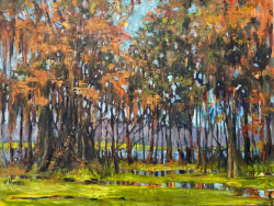 52a.   Atchafalaya Swamp Detail