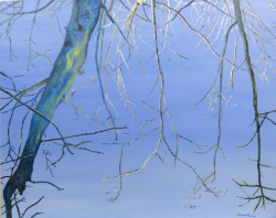 2b.   Bare Branches Baton Rouge