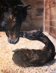 45a.   Brand Spankin' New