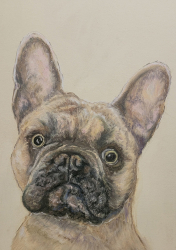 32a.   Cole the Cinder Block