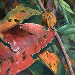 83b.   Crimson Decay