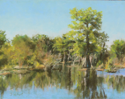 33c.   Divine Cypress