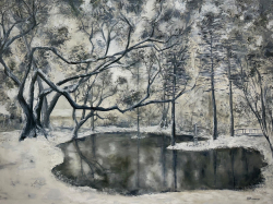 17a.   Eliza Beaumont Lane Pond in Snow