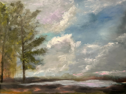 113a.   Enjoying a Day with Nature