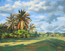 84c.   Evening Palms