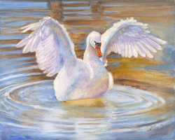 1c.   Flapping Swan