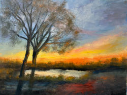 113b.   Flicker of Evening Light