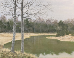 109c.   Hemingbough in Winter