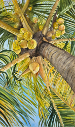 74c.   Lime in the Coconut