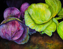 4c.   Little Cabbage Heads