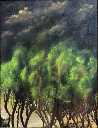 42c.   Looming Storm