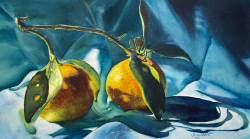 89a.   Mama's Scarf