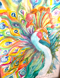 20c.   Midnight Peacock