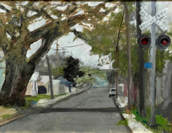 106f.   New Iberia Street