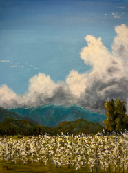 17d.   Pear Orchard, Grant's Pass