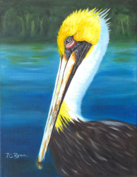 105b.   Proud Pelican