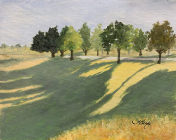 109e.   Shadowlands