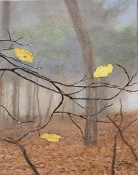 109f.   Shenandoah Dewdrops